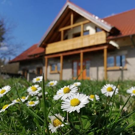 Wandertraum Johann - Fewo Eifel Kruft Екстериор снимка
